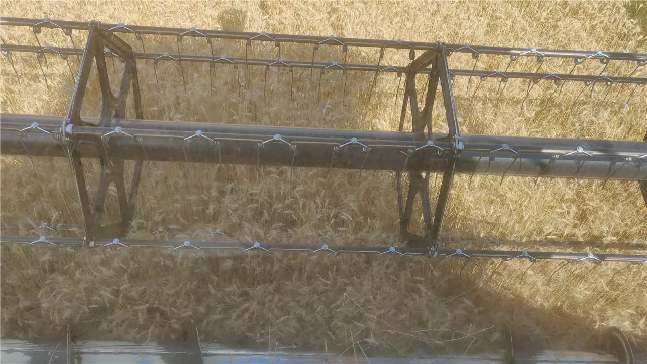 Cosechadora recogiendo cereal