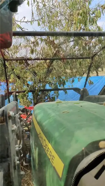 Vista desde el tractor entre los árboles