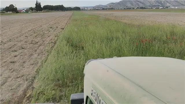 Campo visto desde el tractor