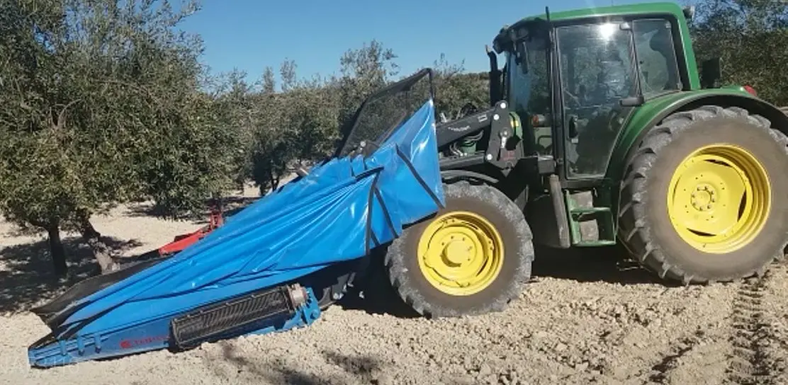 Tractor con equipo de recolección entre olivos