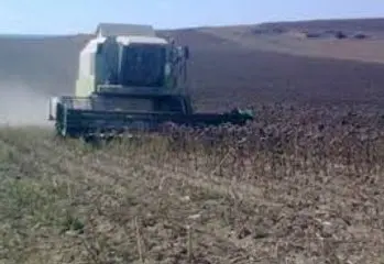 Cosechadora trabajando en la recolección de girasol
